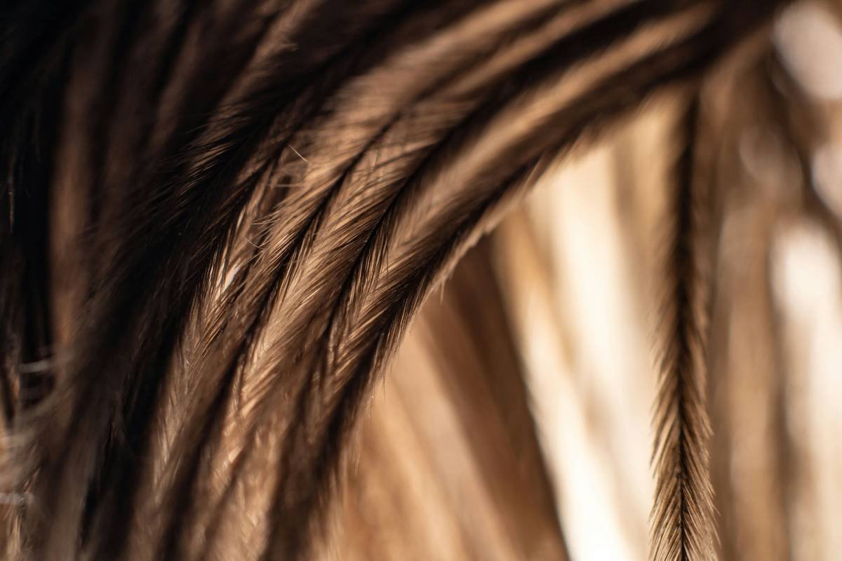 Hair Fortifying Conditioner: 7 Proven Tips to Avoid Costly Mistakes